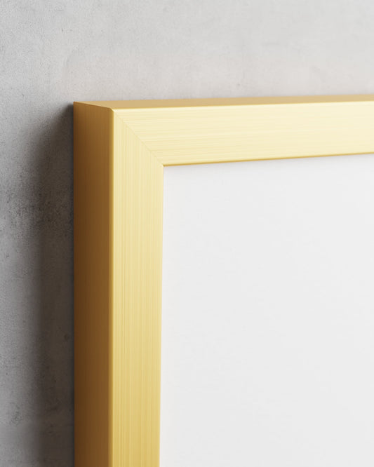 Frame preview