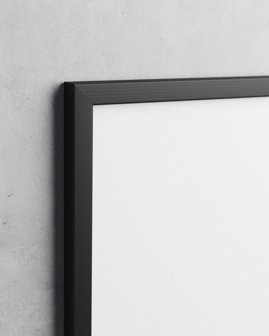 Frame preview
