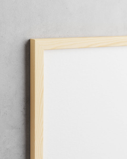 Frame preview