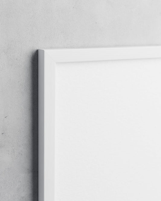 Frame preview