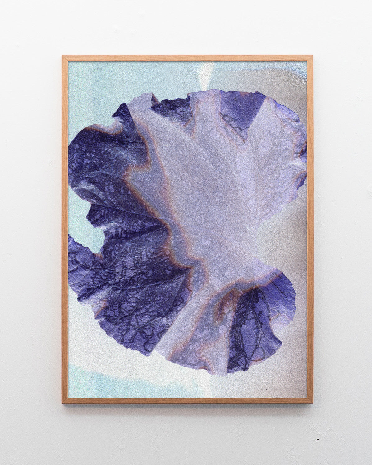 Leaf 01